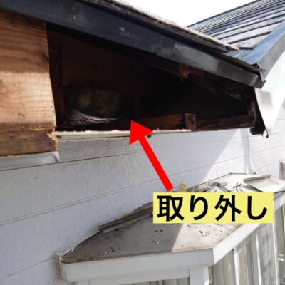 IMG_3055.jpeg